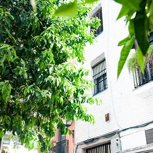 Apartamento Alohamundi Cruz, Sevilla